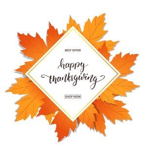 THANKSGIVING SALE